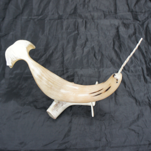 Muskox Horn Carving of Narwhale